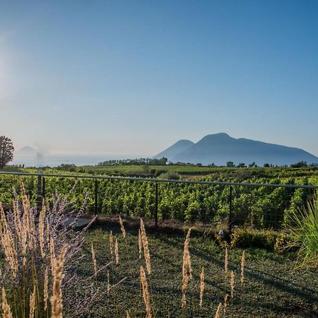 Tenuta Di Castellaro Winery & Resort Lipari  Luaran gambar