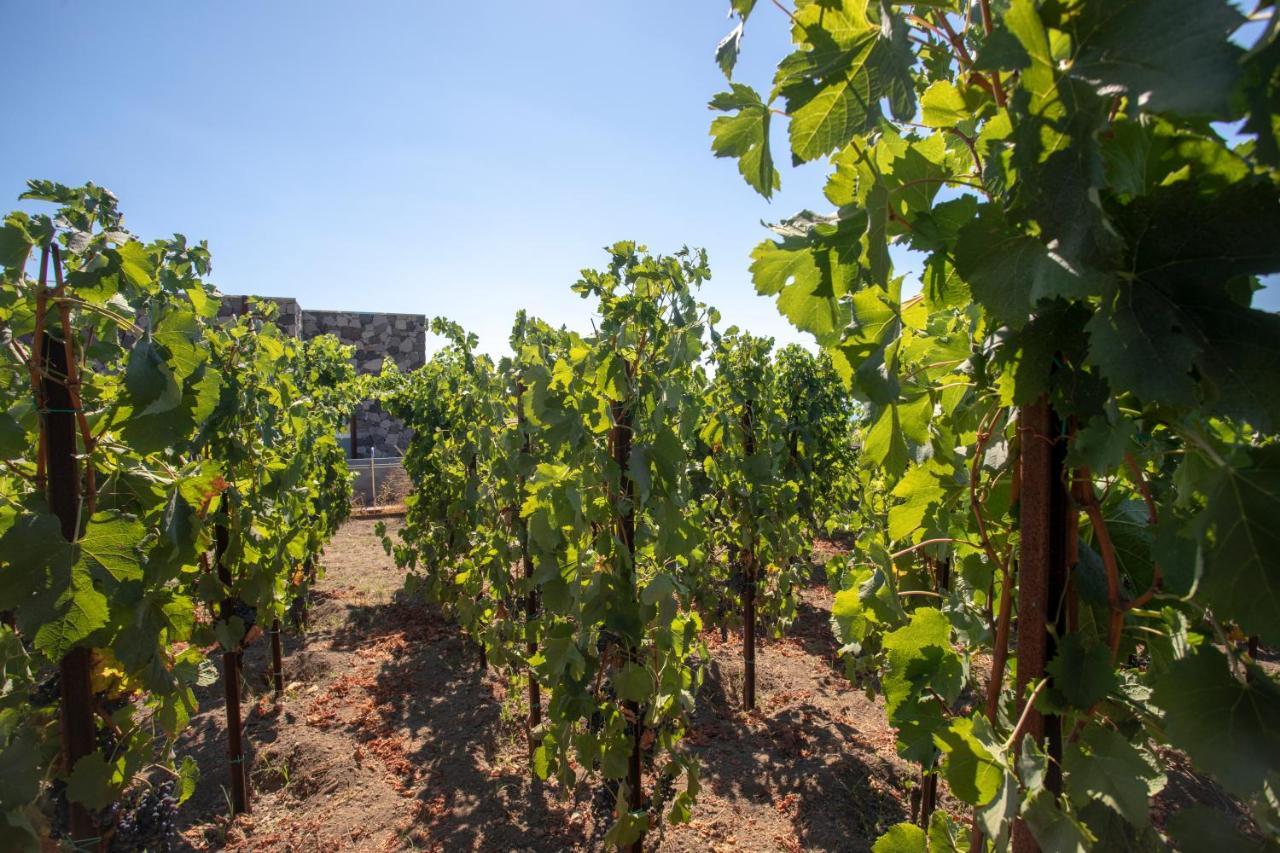 Tenuta Di Castellaro Winery & Resort Lipari  Luaran gambar